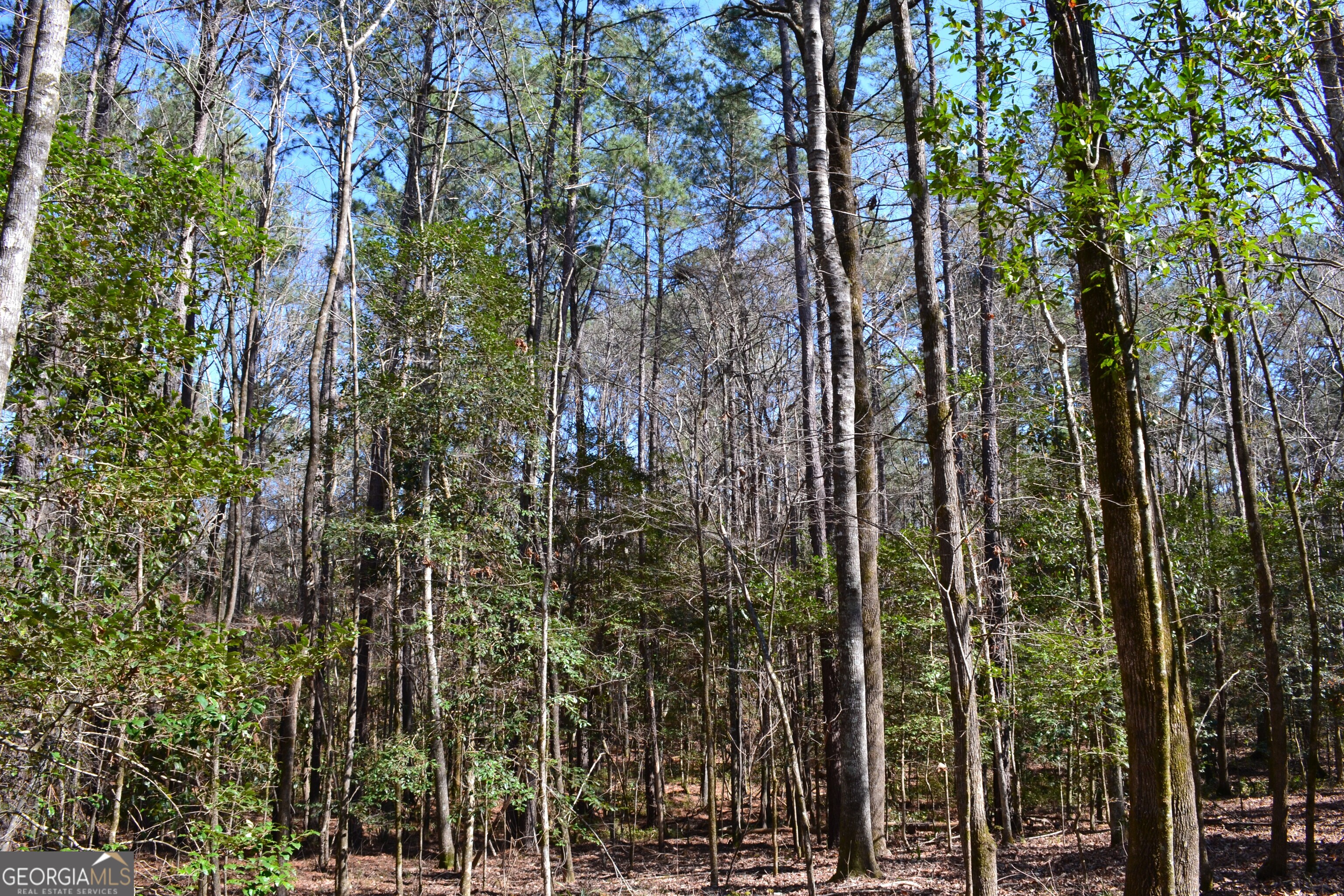 0 Mark Wood Road Dexter GA 31019