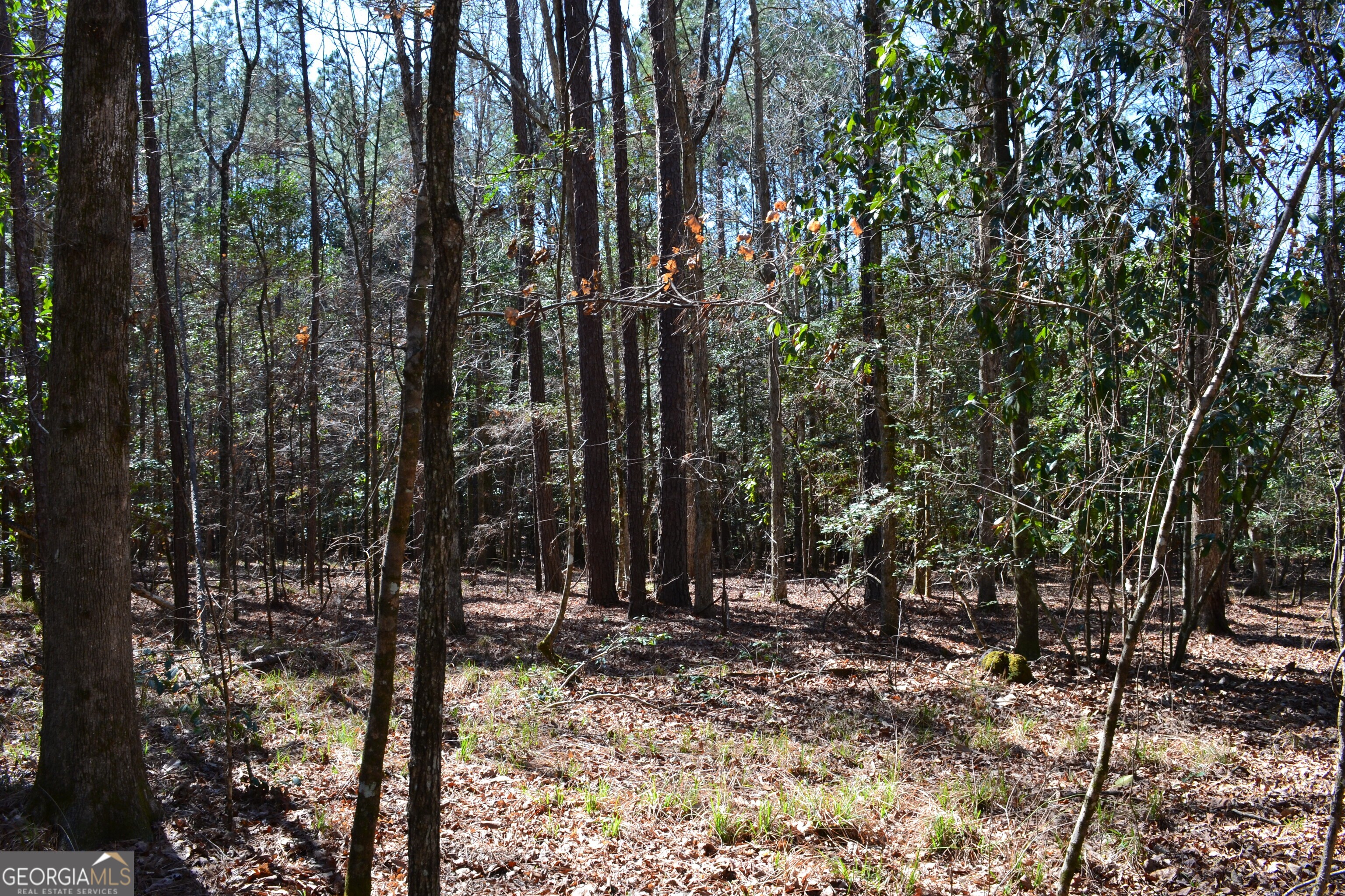 0 Mark Wood Road Dexter GA 31019