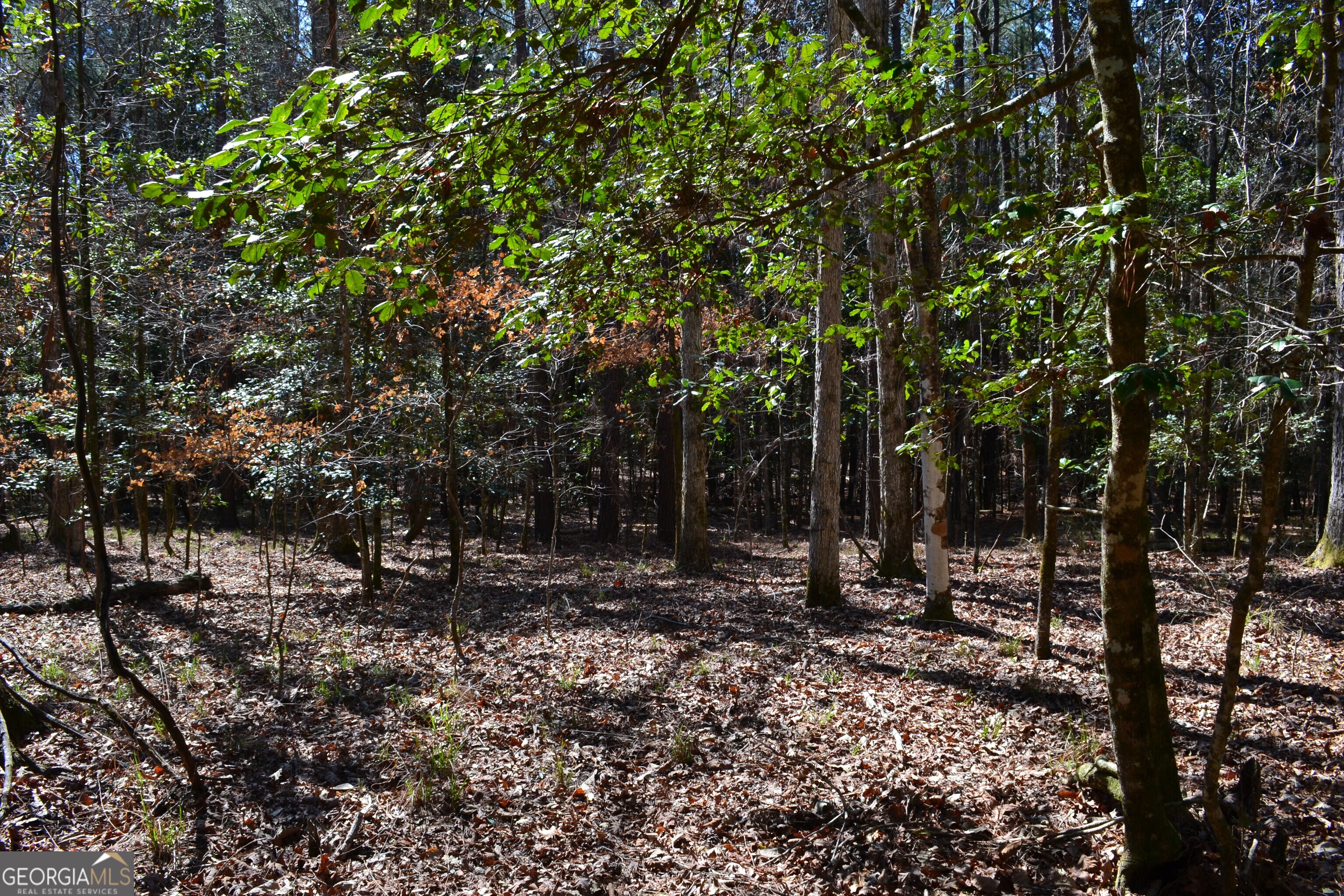 0 Mark Wood Road Dexter GA 31019
