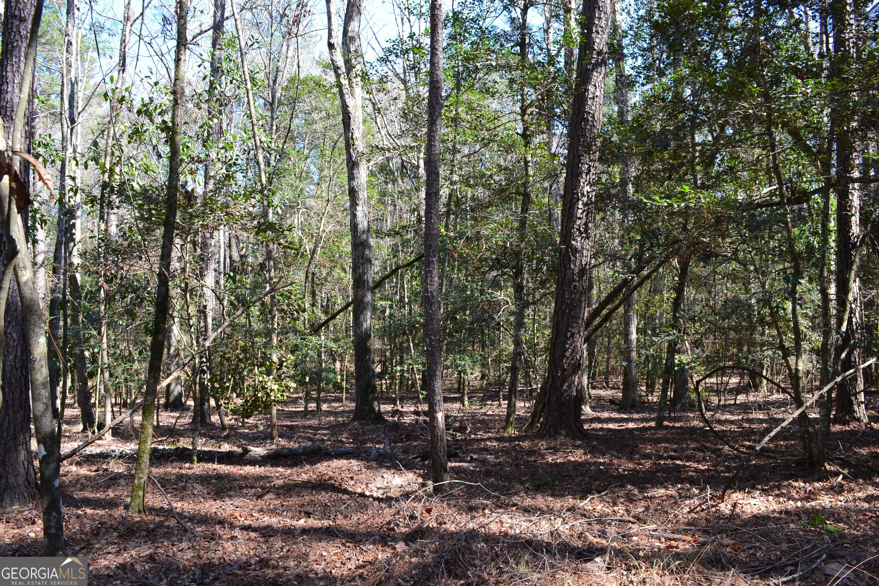 0 Mark Wood Road Dexter GA 31019