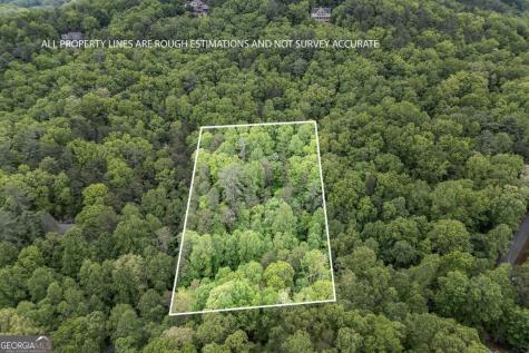 Lot 17 Lower Gap Road Sautee Nacoochee GA 30571