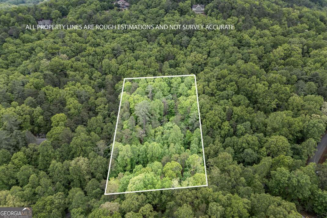 Lot 17 Lower Gap Road Sautee Nacoochee GA 30571