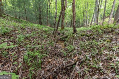 Lot 17 Lower Gap Road Sautee Nacoochee GA 30571