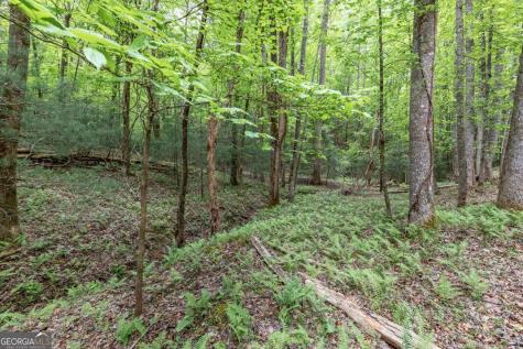 Lot 17 Lower Gap Road Sautee Nacoochee GA 30571