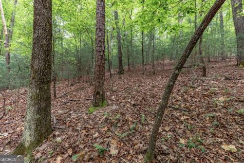 Lot 17 Lower Gap Road Sautee Nacoochee GA 30571