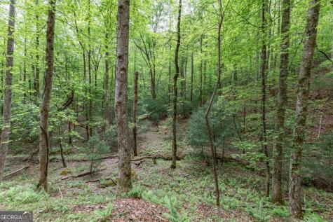 Lot 17 Lower Gap Road Sautee Nacoochee GA 30571
