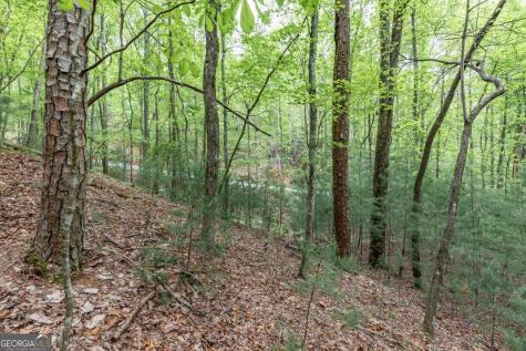 Lot 17 Lower Gap Road Sautee Nacoochee GA 30571