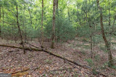 Lot 17 Lower Gap Road Sautee Nacoochee GA 30571