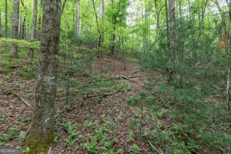 Lot 17 Lower Gap Road Sautee Nacoochee GA 30571