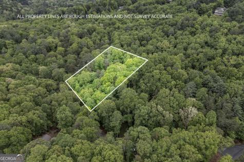 Lot 17 Lower Gap Road Sautee Nacoochee GA 30571