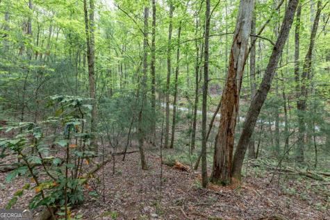 Lot 17 Lower Gap Road Sautee Nacoochee GA 30571
