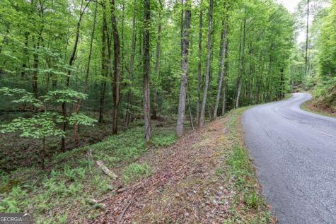 Lot 17 Lower Gap Road Sautee Nacoochee GA 30571