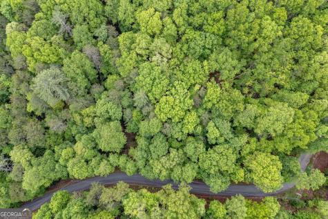 Lot 17 Lower Gap Road Sautee Nacoochee GA 30571