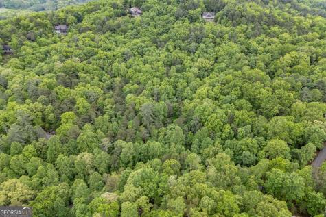 Lot 17 Lower Gap Road Sautee Nacoochee GA 30571