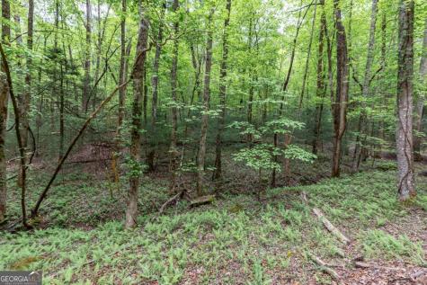 Lot 17 Lower Gap Road Sautee Nacoochee GA 30571