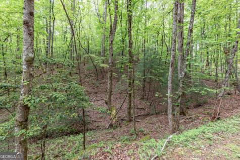 Lot 17 Lower Gap Road Sautee Nacoochee GA 30571