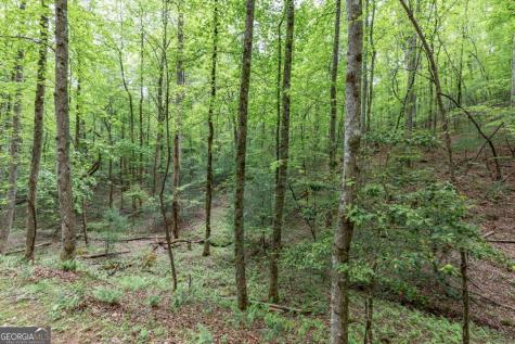 Lot 17 Lower Gap Road Sautee Nacoochee GA 30571
