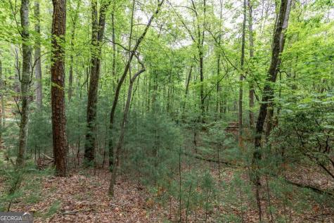 Lot 17 Lower Gap Road Sautee Nacoochee GA 30571