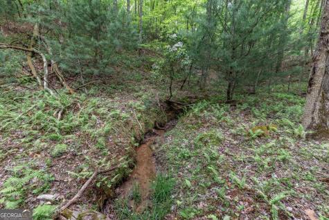 Lot 17 Lower Gap Road Sautee Nacoochee GA 30571