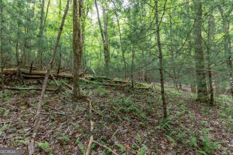 Lot 17 Lower Gap Road Sautee Nacoochee GA 30571