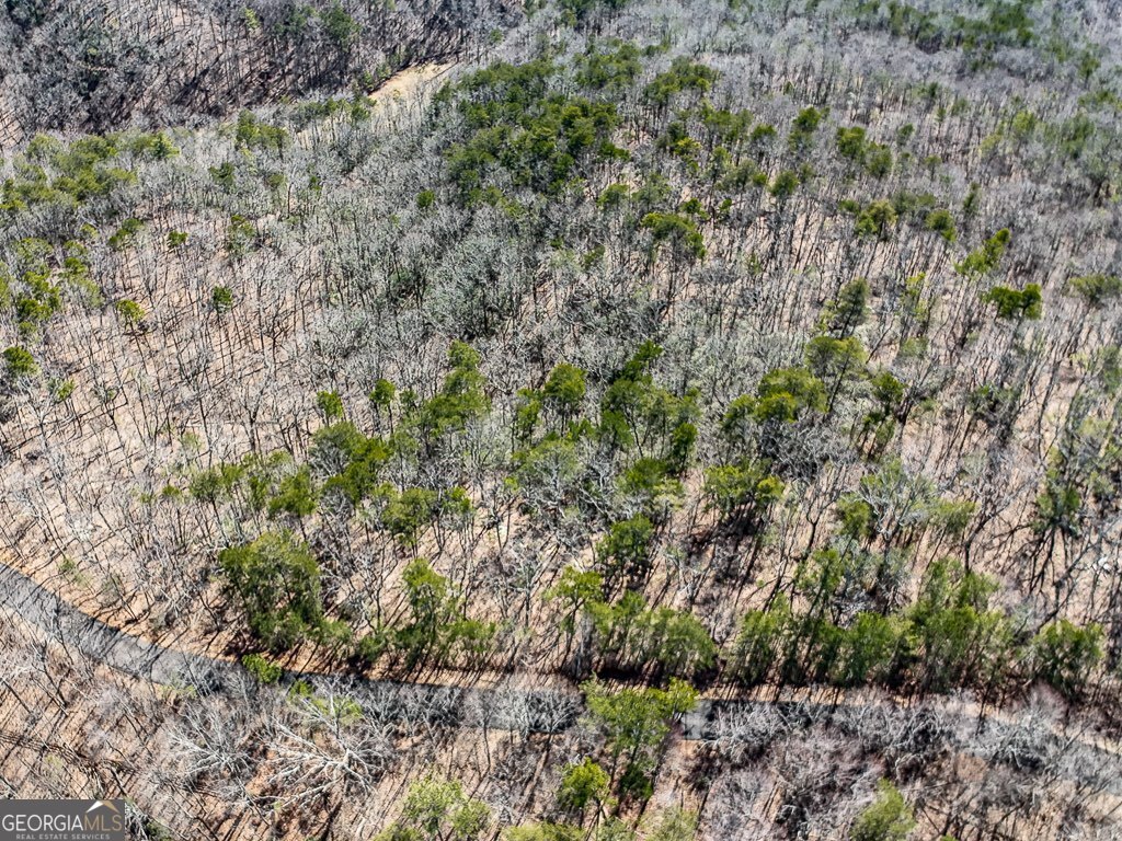 0 Outback Road Jasper GA 30143