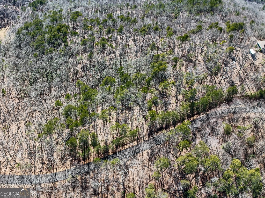 0 Outback Road Jasper GA 30143