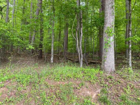 401 North Toccoa River Road Mineral Bluff GA 30559