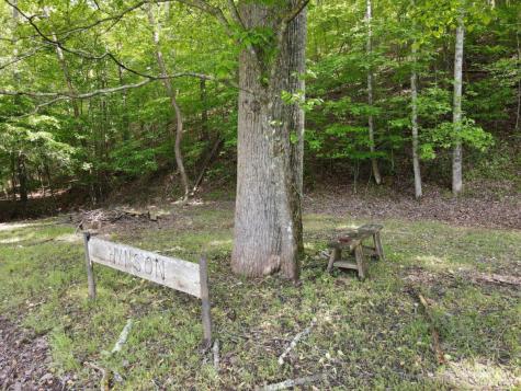 401 North Toccoa River Road Mineral Bluff GA 30559