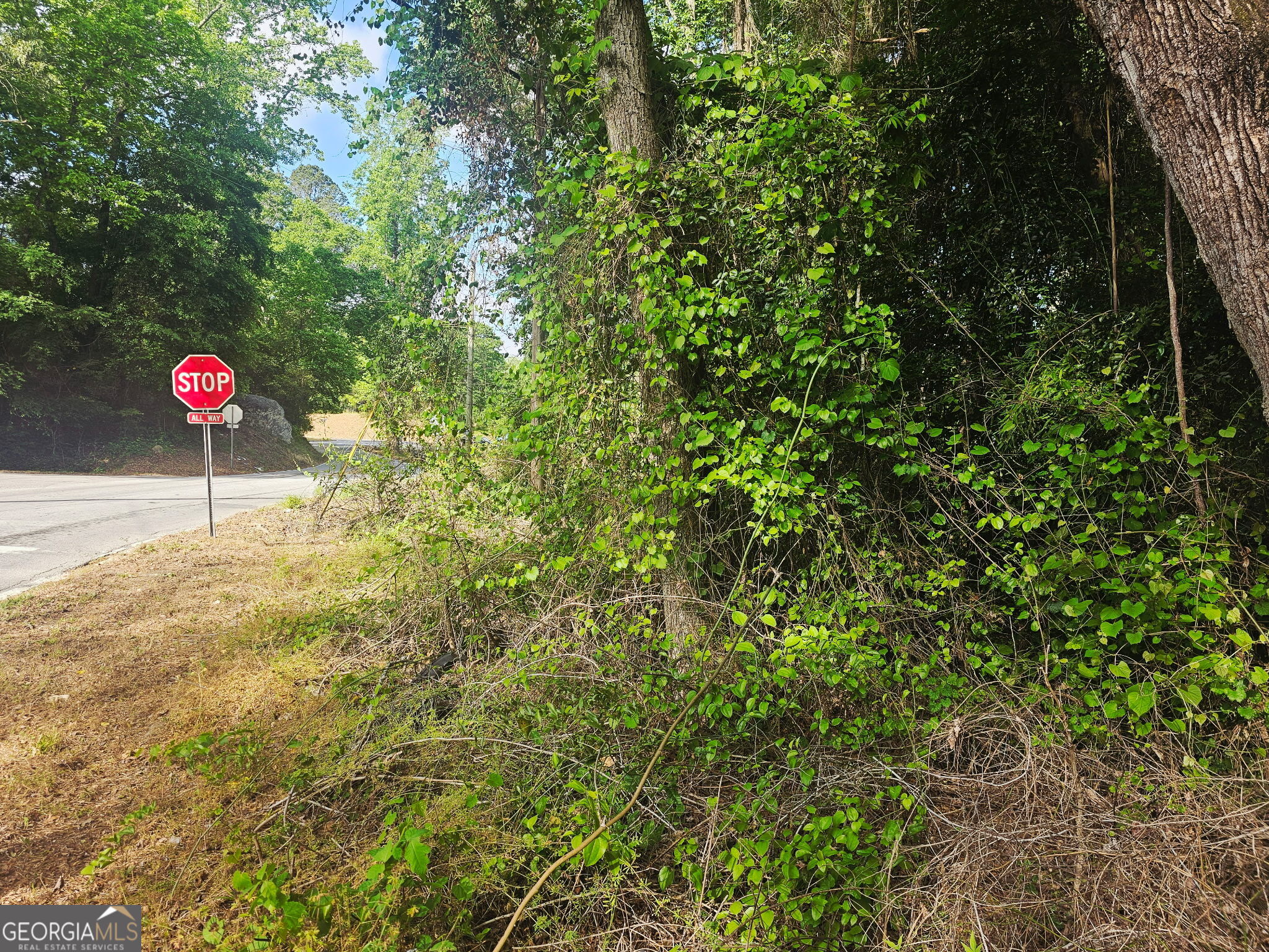 1956 Highway 20 NE Conyers GA 30012