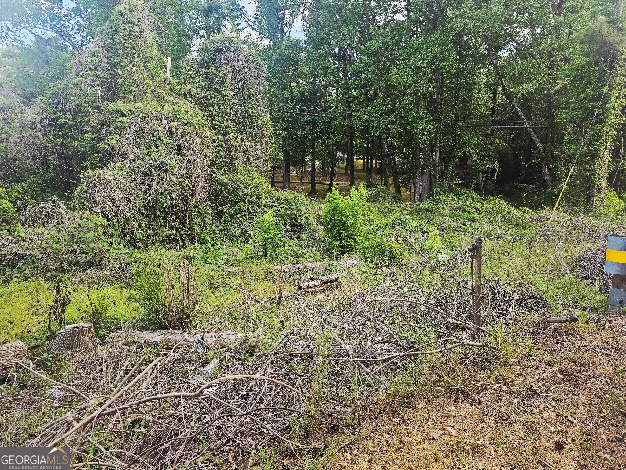 1956 Highway 20 NE Conyers GA 30012