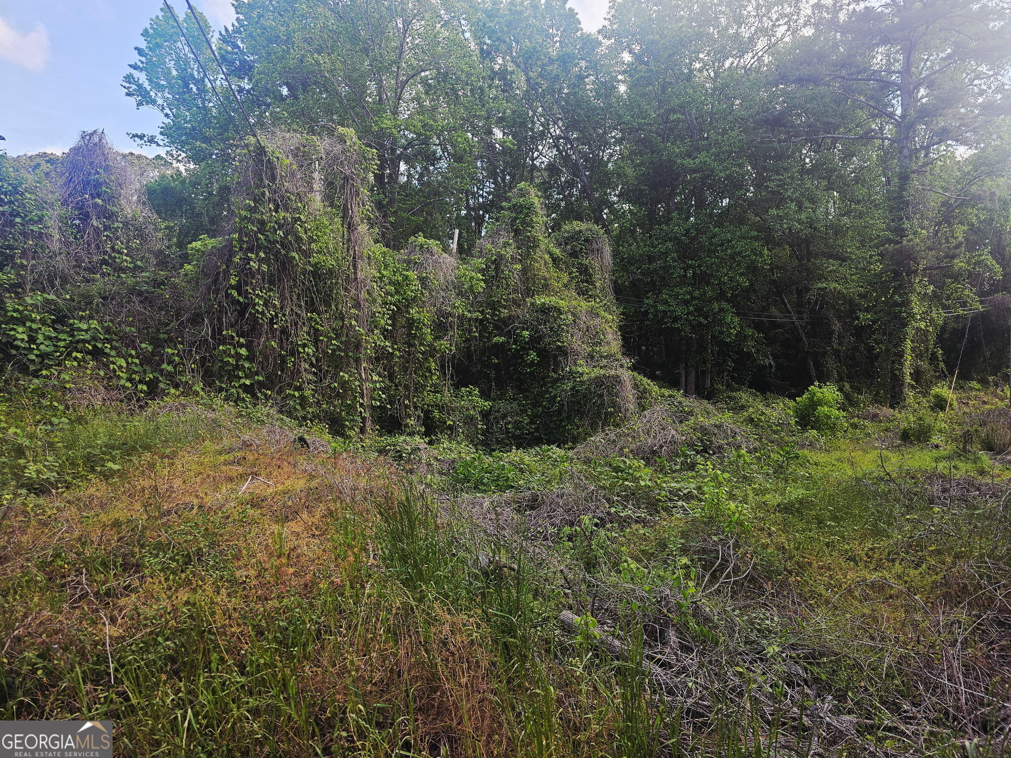 1956 Highway 20 NE Conyers GA 30012