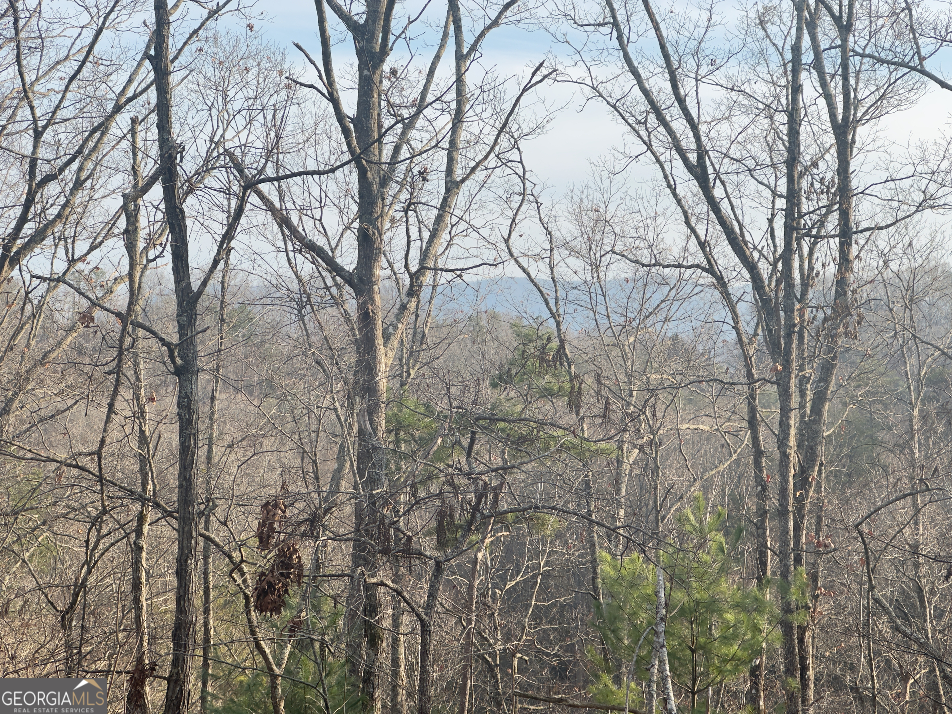 Tract 1 Century Lane Blue Ridge GA 30513