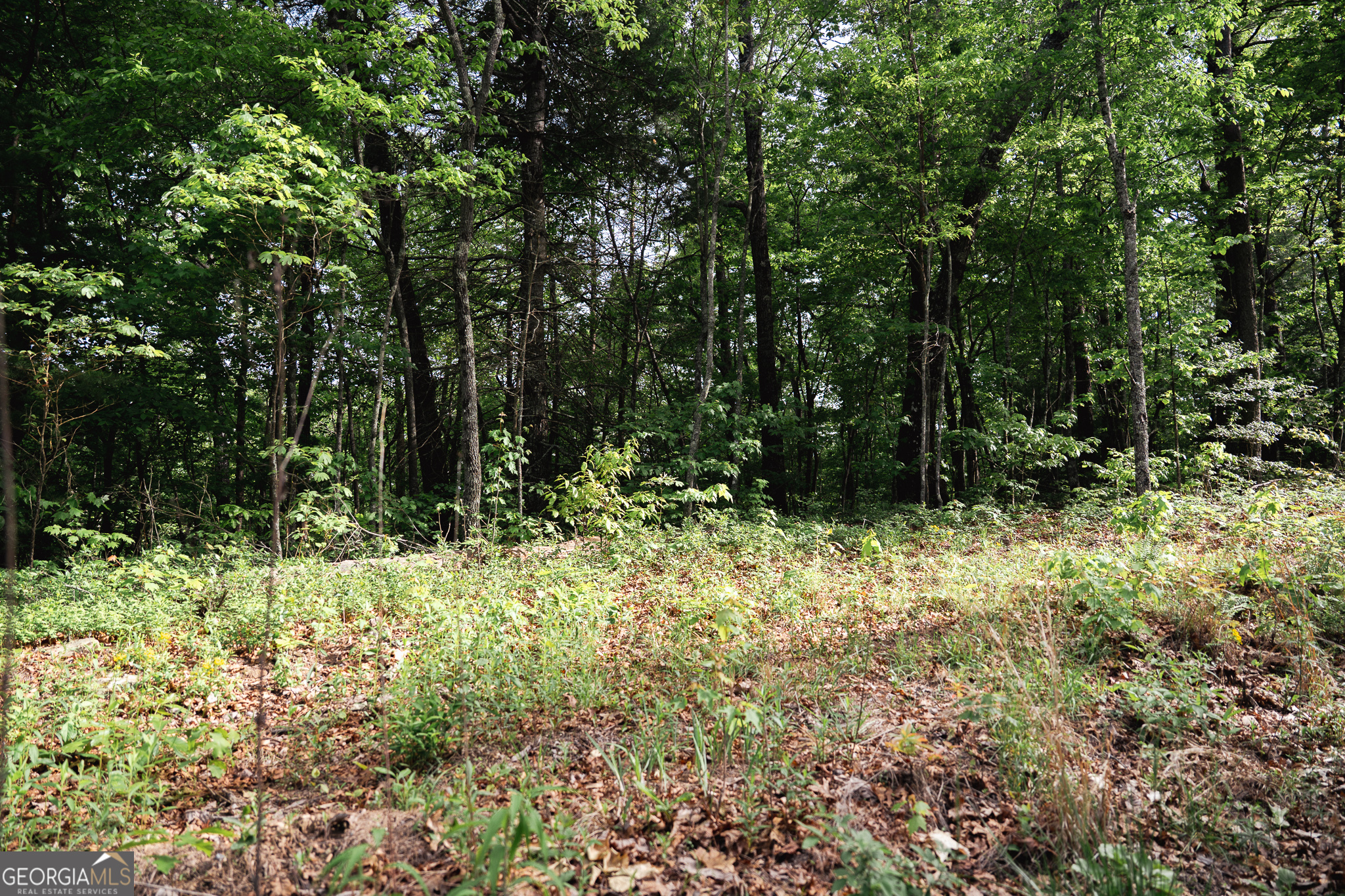 Tract 1 Century Lane Blue Ridge GA 30513