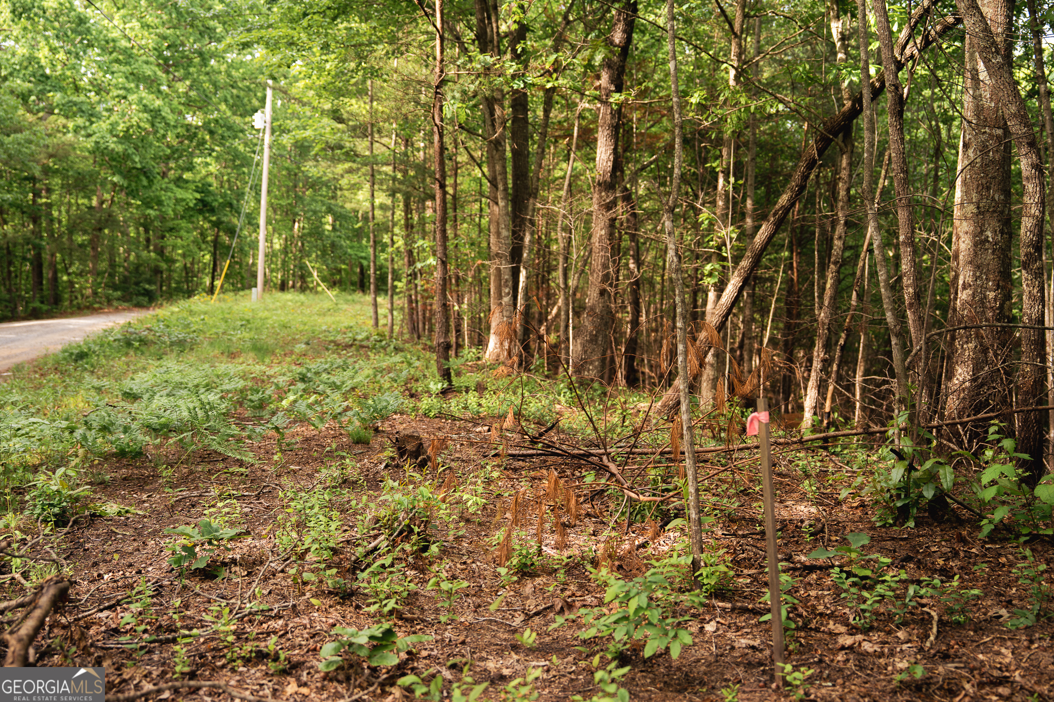Tract 1 Century Lane Blue Ridge GA 30513