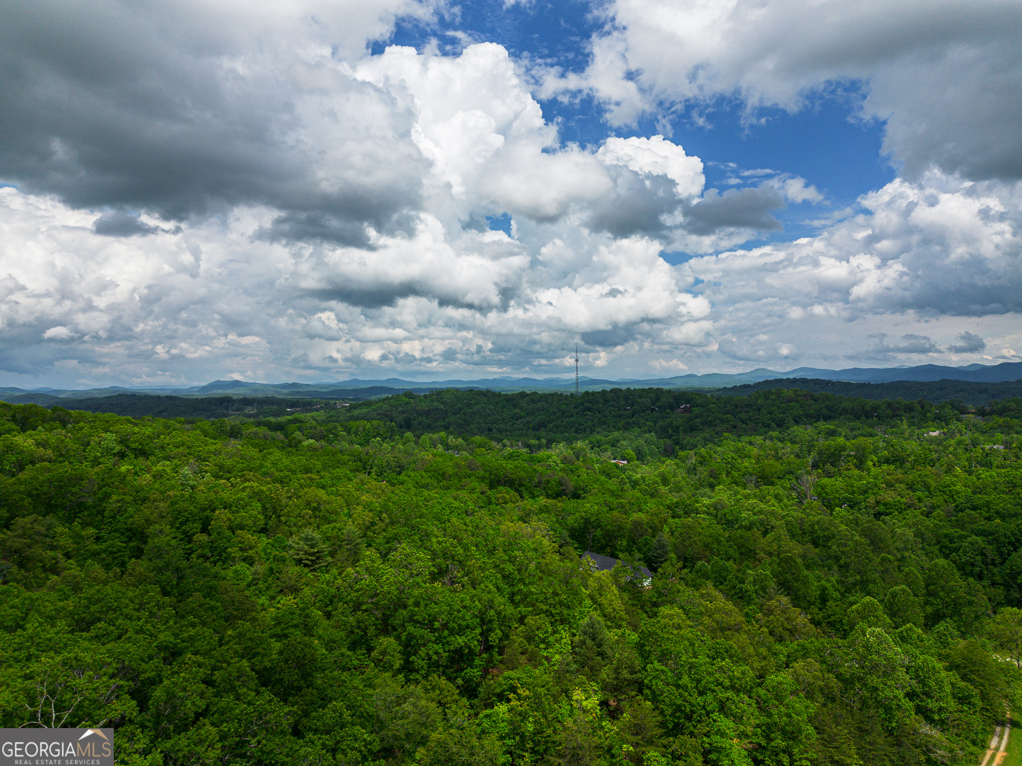 Tract 1 Century Lane Blue Ridge GA 30513
