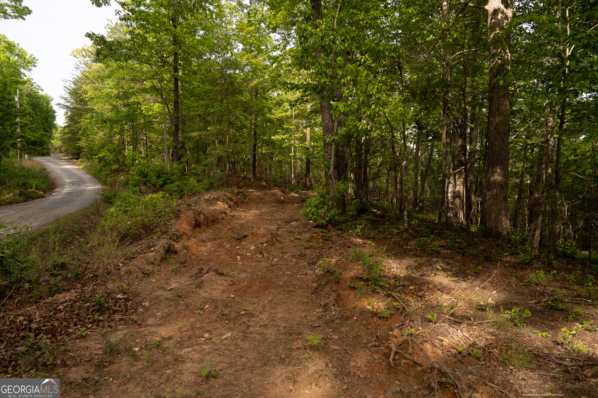 Tract 1 Century Lane Blue Ridge GA 30513