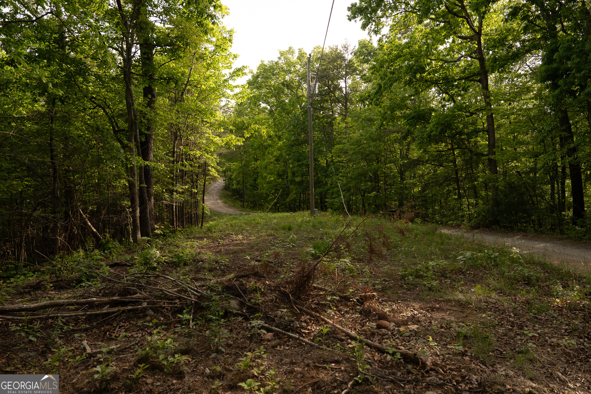 Tract 1 Century Lane Blue Ridge GA 30513