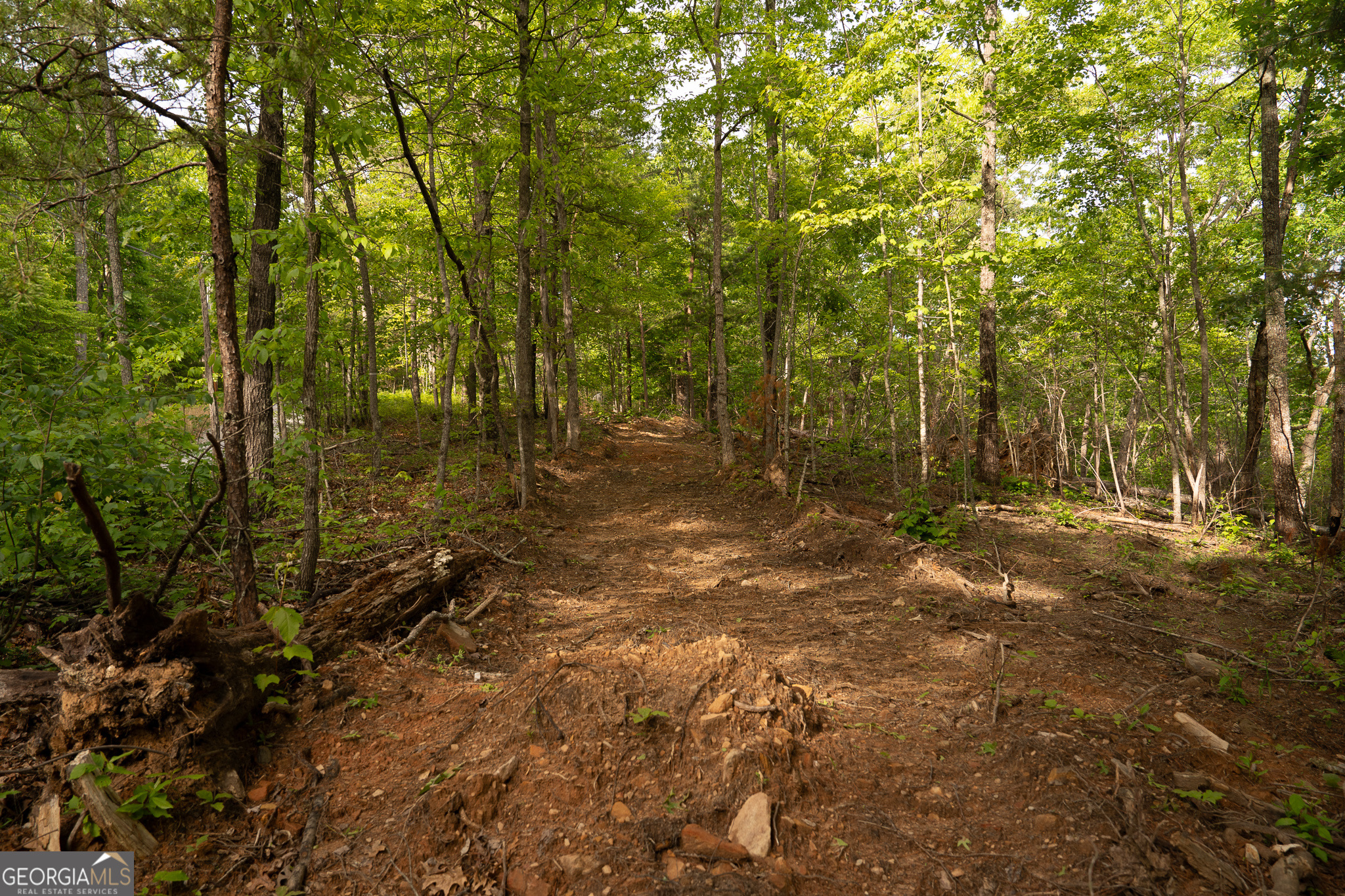 Tract 1 Century Lane Blue Ridge GA 30513