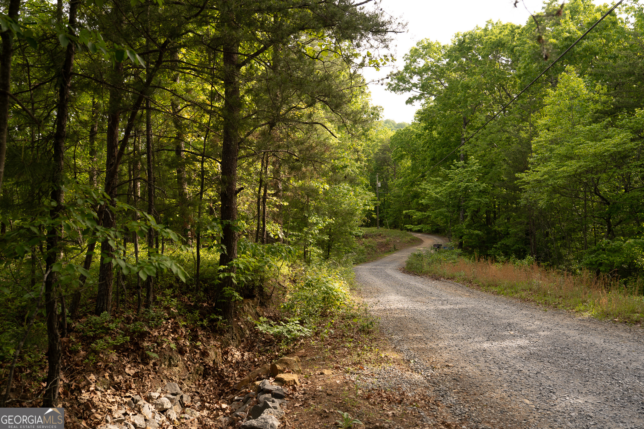 Tract 1 Century Lane Blue Ridge GA 30513