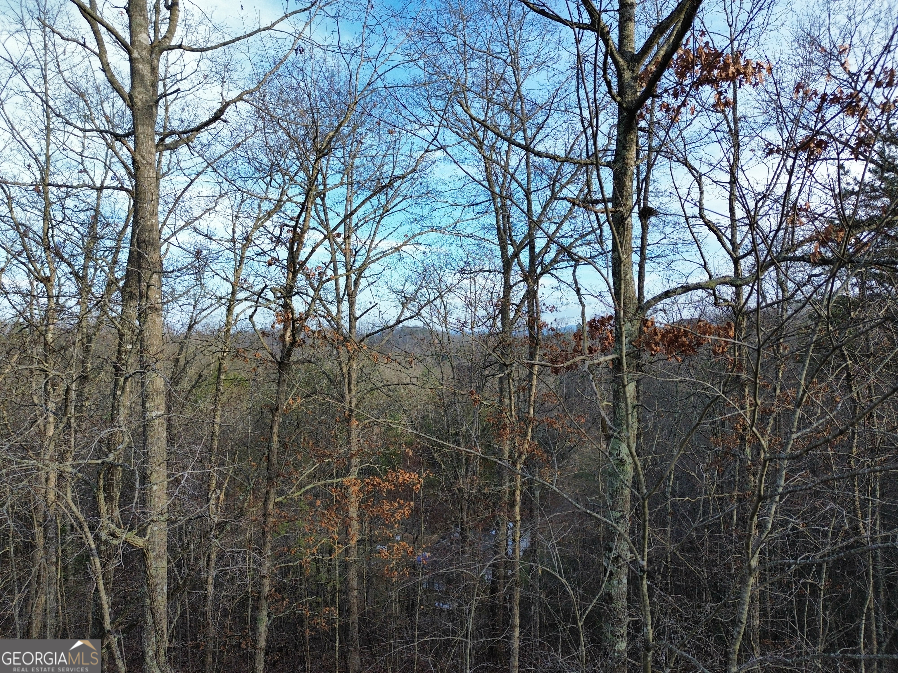 Tract 1 Century Lane Blue Ridge GA 30513