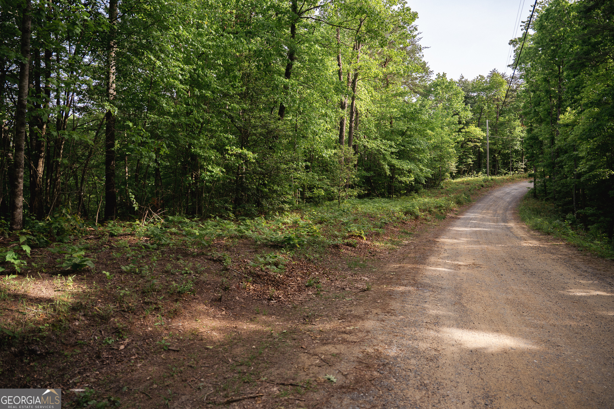Tract 1 Century Lane Blue Ridge GA 30513