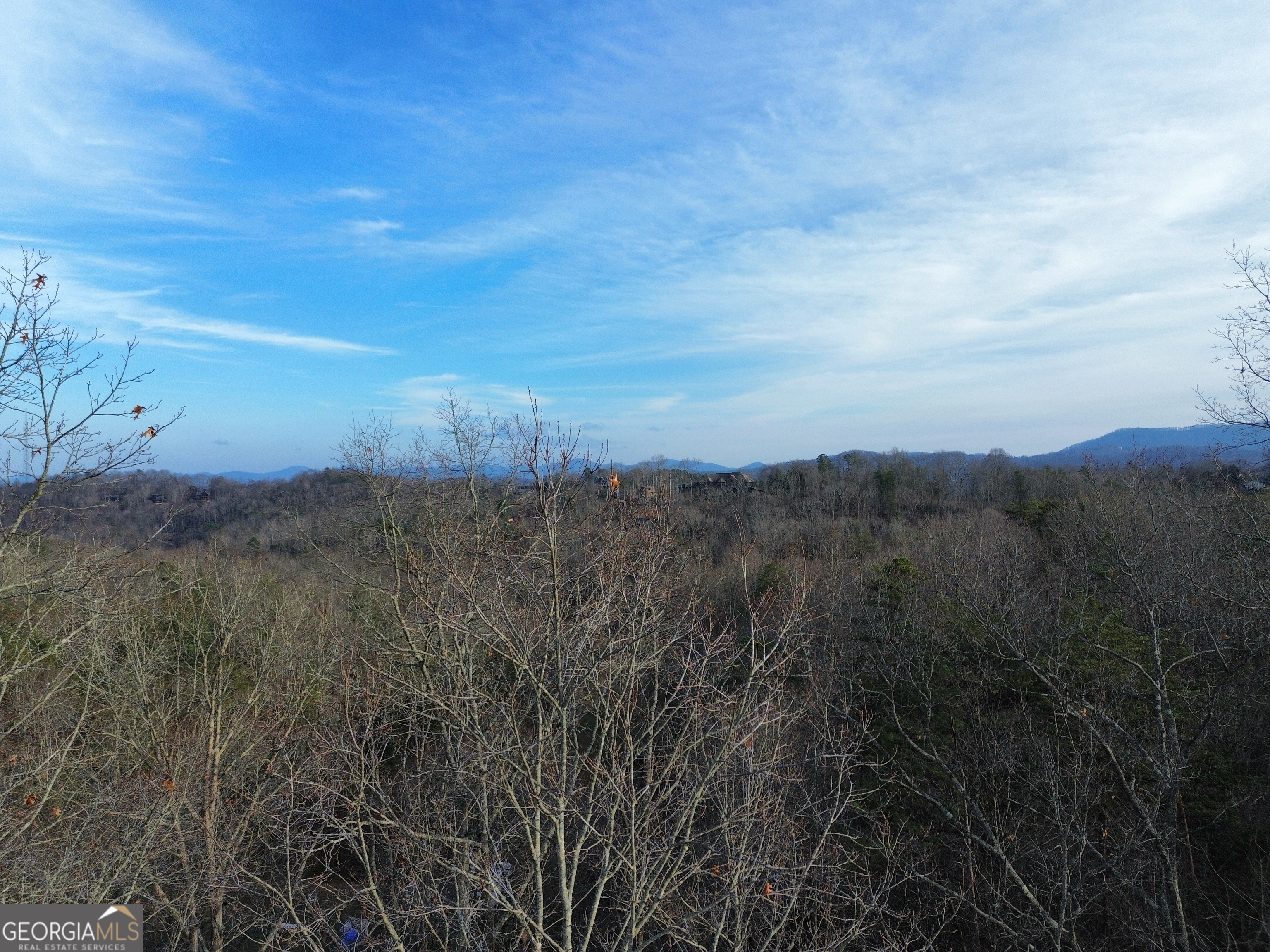 Tract 1 Century Lane Blue Ridge GA 30513