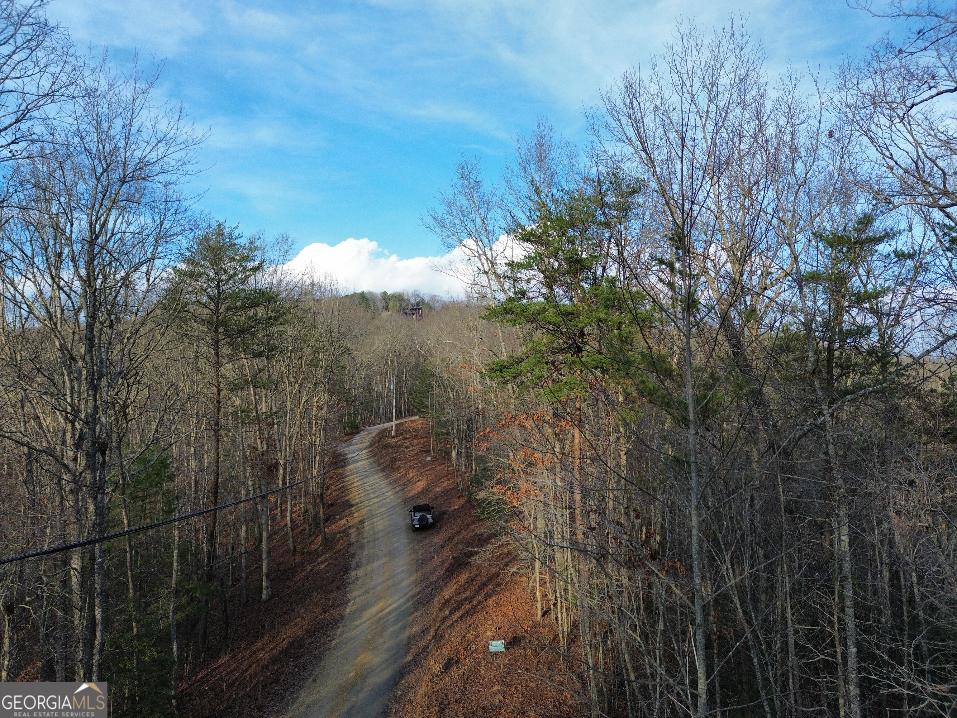 Tract 1 Century Lane Blue Ridge GA 30513