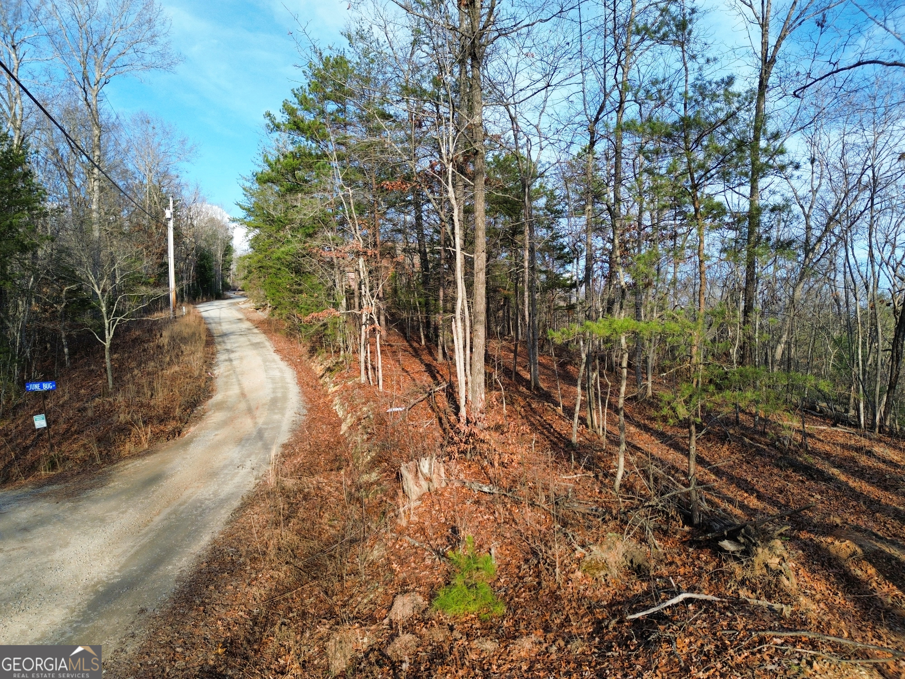 Tract 1 Century Lane Blue Ridge GA 30513