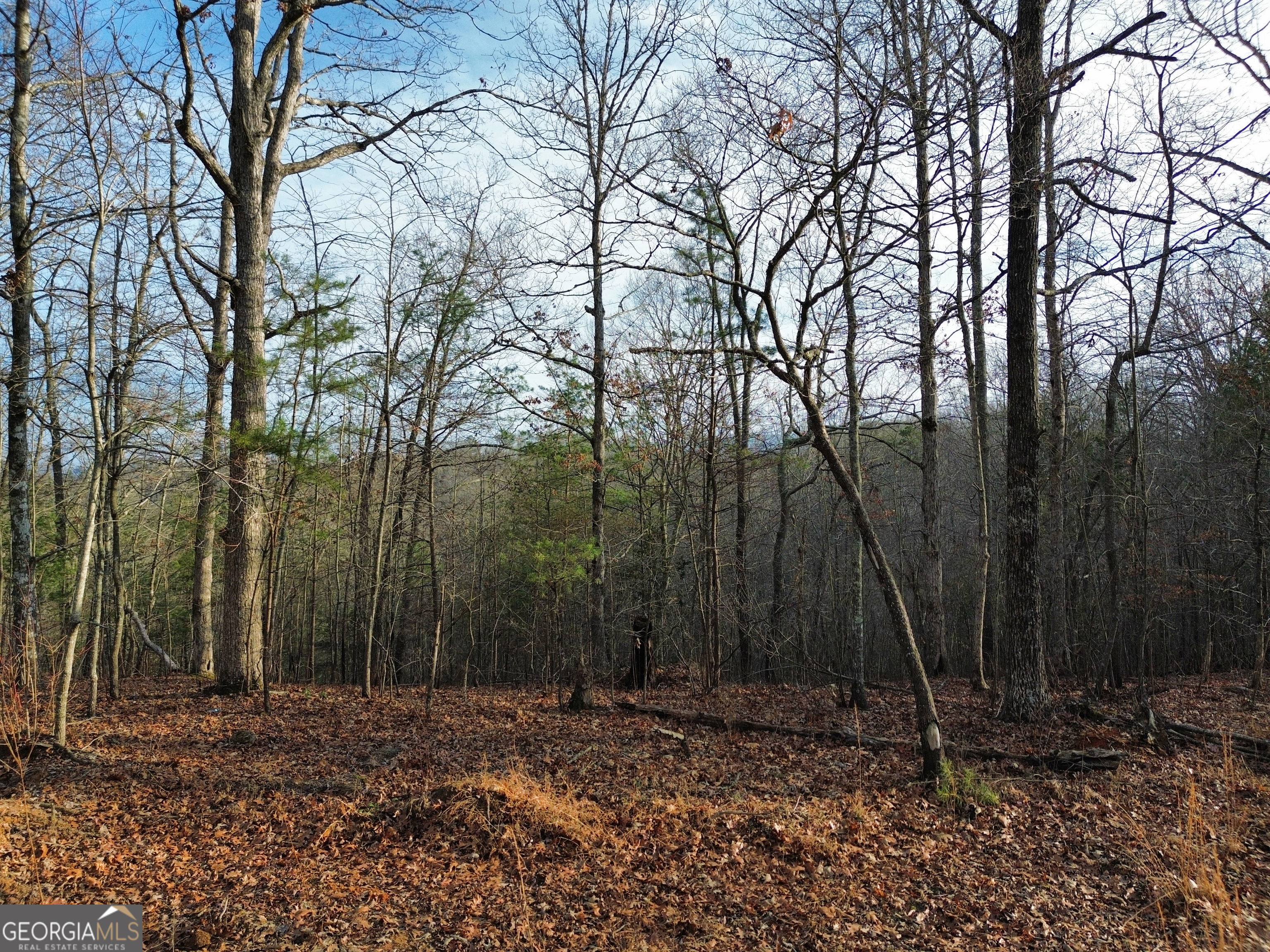 Tract 1 Century Lane Blue Ridge GA 30513
