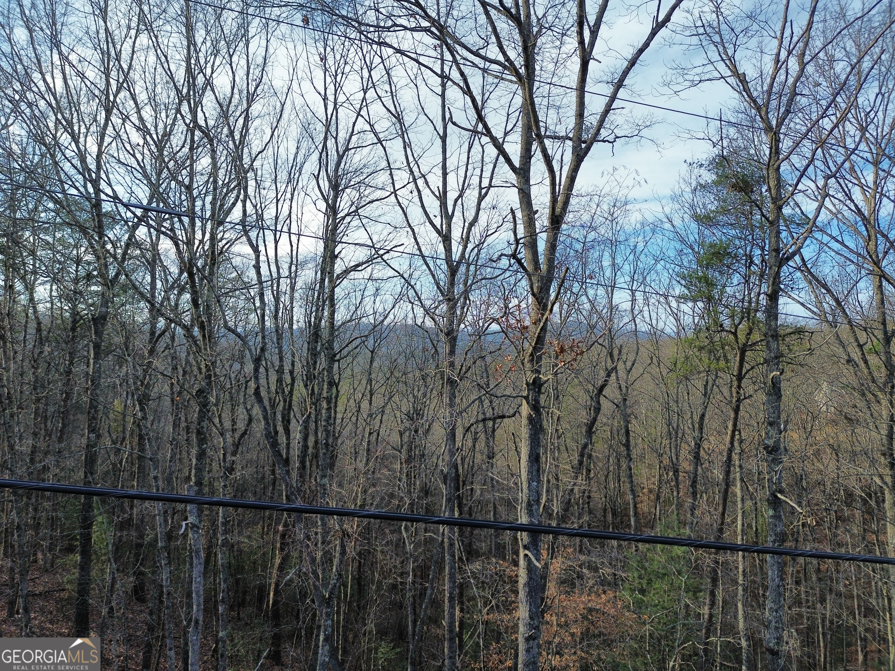 Tract 1 Century Lane Blue Ridge GA 30513