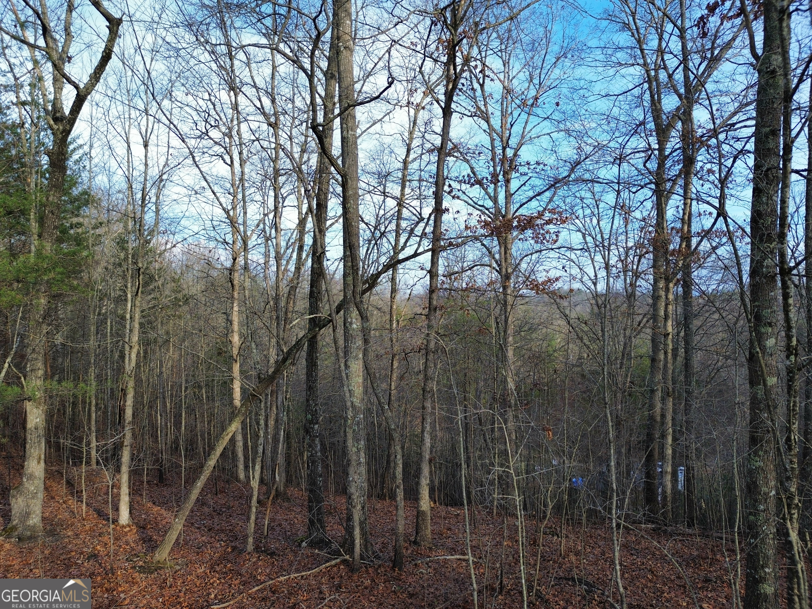 Tract 1 Century Lane Blue Ridge GA 30513