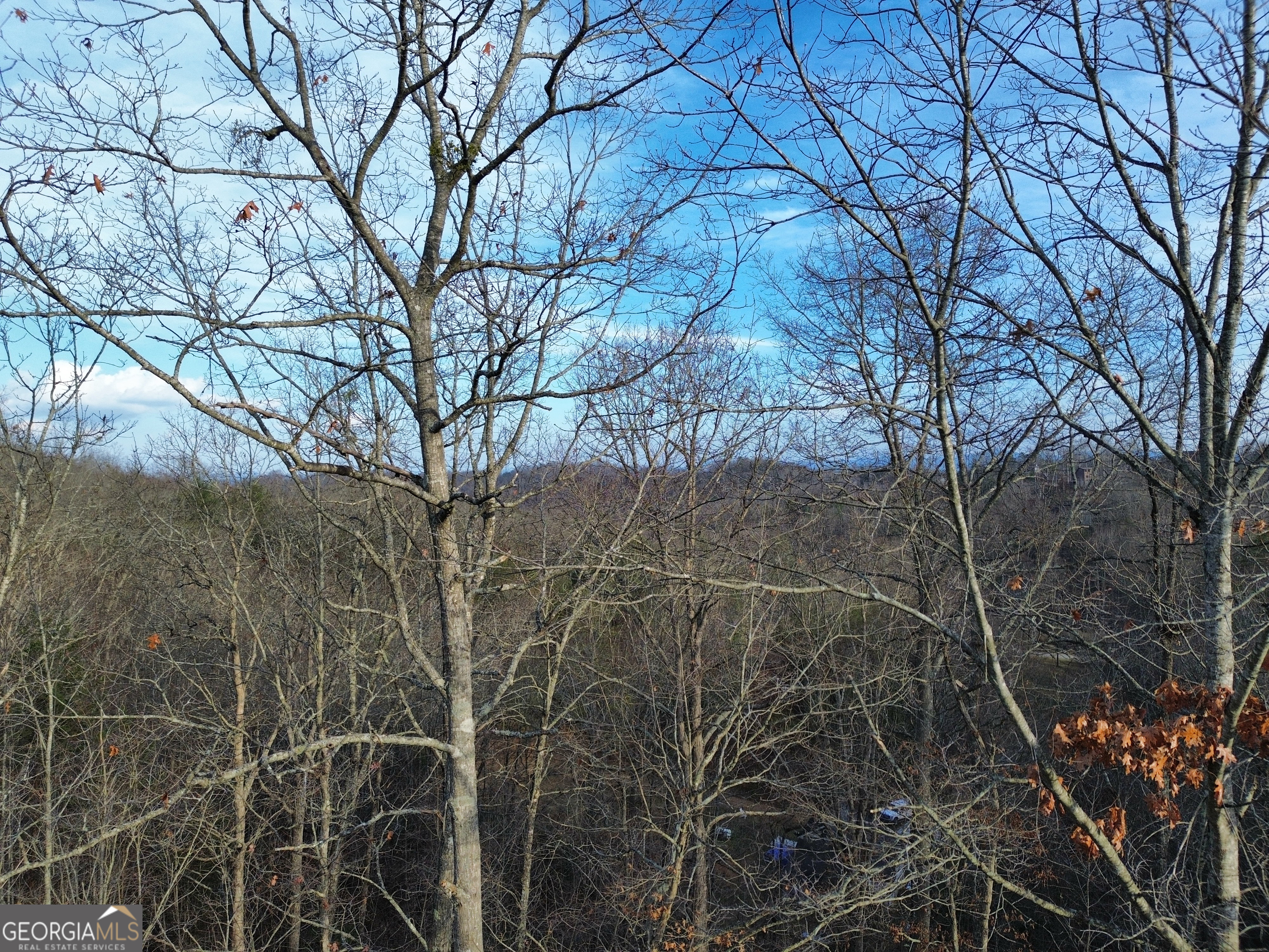 Tract 1 Century Lane Blue Ridge GA 30513