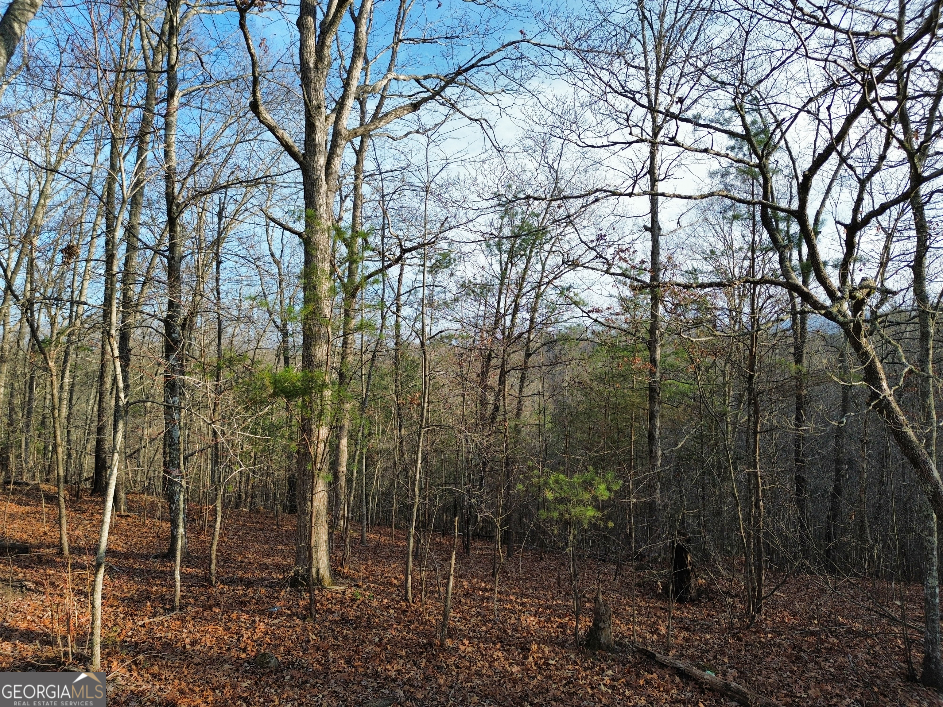 Tract 1 Century Lane Blue Ridge GA 30513