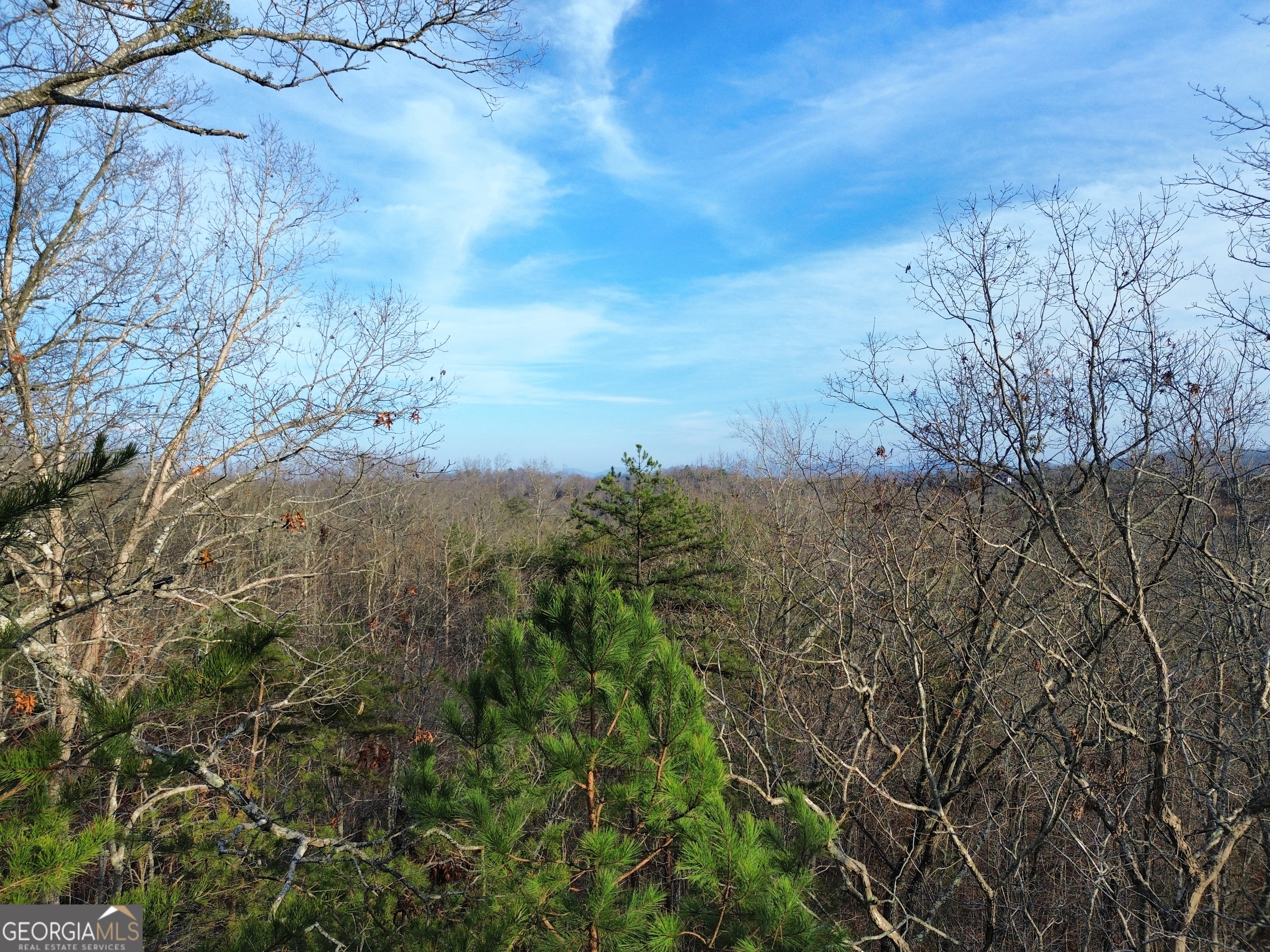 Tract 1 Century Lane Blue Ridge GA 30513
